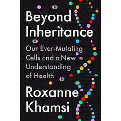 Beyond Inheritance