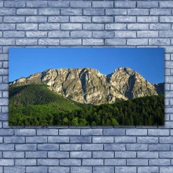 tulup.si Slika na platnu Mount forest narava 140x70 cm