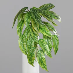 Listnata plezalka 55 cm rumeno-zelena - 50 do 75 cm