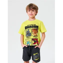 Sinsay - Kratke pantalone How to train your dragon - antracit