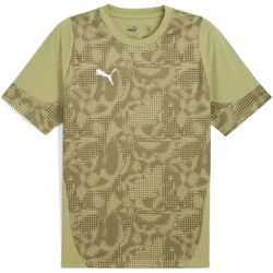 Puma Dres teamCUP Jersey
