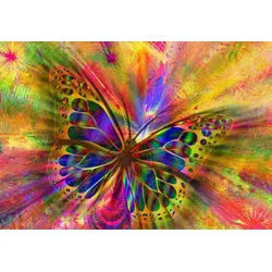 BlueBird - Puzzle Colorful Butterfly II 1000 - 1 000 kosov