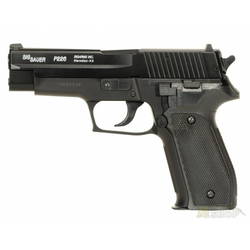 Sig Sauer P226