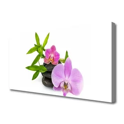 tulup.si Slika na platnu Cvet orhideje rastlin 100x50 cm
