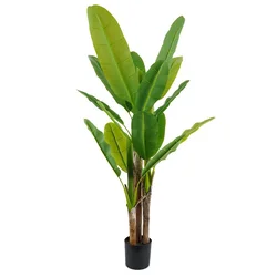 Lilium stablo banana 1x3 170cm 567293