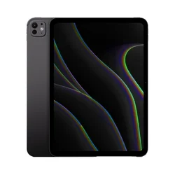 13-inčni iPad Pro Wi-Fi 256GB Standard Glass - Space Black (M5)