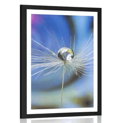 Plakat s paspartujem kapljica rose na barvnem ozadju - 40x60 white