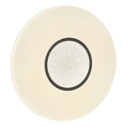 LED plafonjera LP-306-24