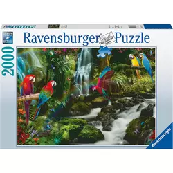 Ravensburger puzzle (slagalice) - 2000pcs Šareni papagaj RA17111