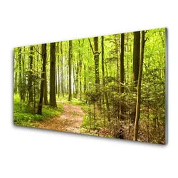 tulup.si Steklena slika Forest narava pot 140x70 cm 2 obešalnika