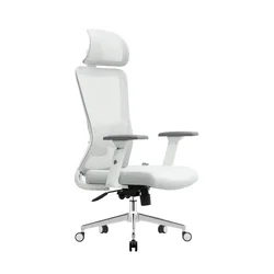 Ergonomska kancelarijska stolica UGD Silver Polare