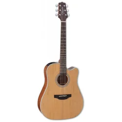 TAKAMINE elektro-akustična kitara GD20CE-NS