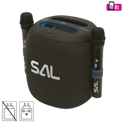 SAL Zvučnik bežični sa mikrofonom,Boombox,Bluetooth,100W,IPX5 - PARCUBE