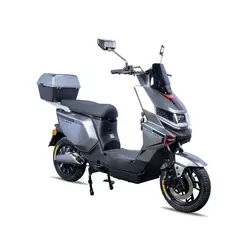 Galaxy Električni bicikl Hugo 16, 250W, 60V/27Ah, Svetlosivi