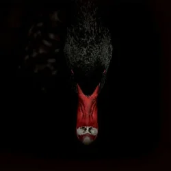 Sankt Otten & N - Männerfreundschaften Und Metaphysik (Limited Edition) (2 LP)