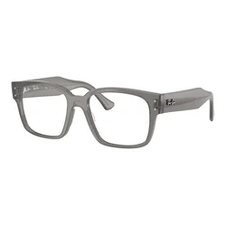 Ray-Ban RX7256 8431