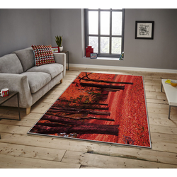 Conceptum Hypnose Tepih Asr Crpt-15, Pravougaoni, 180x280 cm, Narandžasti