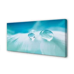 tulup.si Slika na platnu Voda pade makro 120x60 cm