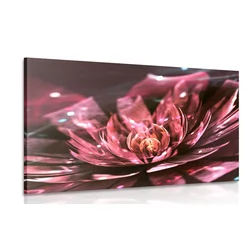 Slika rožasta iluzija - 40x30