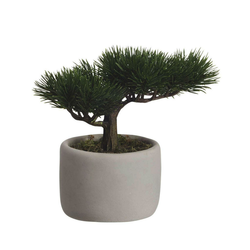 BONSAI