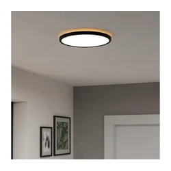 Eglo 901463-LED RGBW stropna kupatilska svetiljka ROVITO-Z 13,9W/230V prečnik 30 cm IP44 crna