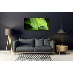 tulup.si Steklena slika Dew drops leaf 125x50 cm 4 obešalnika
