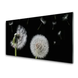 tulup.si Steklena slika Dandelion 100x50 cm 2 obešalnika