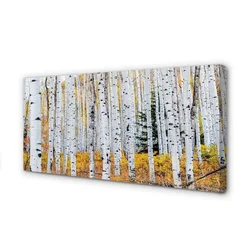 tulup.si Slika na platnu Jesen breza 100x50 cm