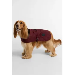 Barbour plašč za psa