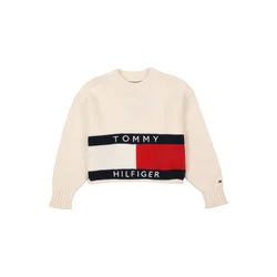 TOMMY HILFIGER Pulover HERITAGE marine/rdeča/bela