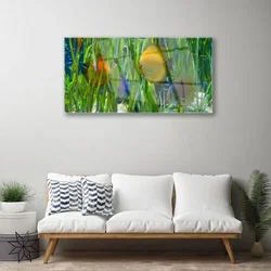 tulup.si Slika na steklu Ribe, alg narava 120x60 cm 2 obešalnika
