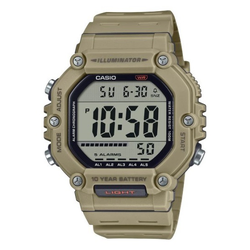 Casio Collection AE-1600H-5A