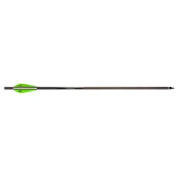 Barnett Bolt Carbon Headhunter 22