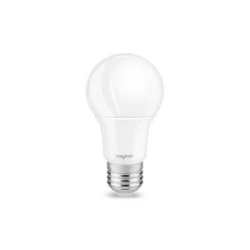 BRAYTRON Led štedna sijalica BRY-ADVANCE-7W-E27-A60-6500K