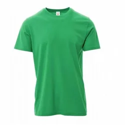 Majica kratkih rukava PAYPER PRINT Boja: Beneton zelena Veličina: 2XL