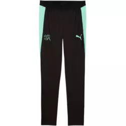 Puma Hlače Switzerland Training w/ pockets