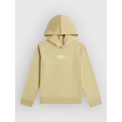 ONeill Essentials Kids Hoodie olive blush