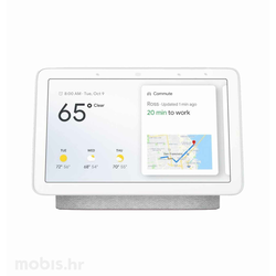 Google Nest Hub