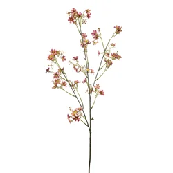 Dafne veja old pink 105 cm - roza - 101 do 150 cm