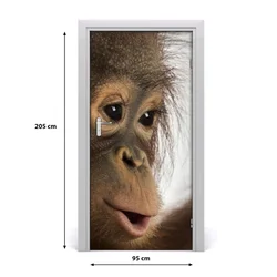 tulup.si Nalepka na vratih Mlad orangutan 95x205 cm