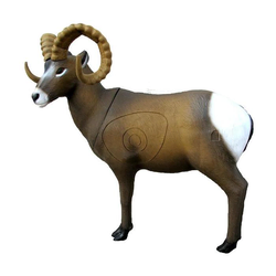 SRT Target 3D Rocky Mountain Sheep
