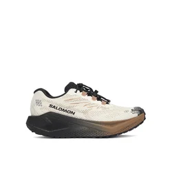 Salomon AERO BLAZE 4 GRVL GTX W, ženske patike za trčanje, bež L45403900