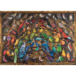 Ravensburger - Puzzle Mavrica ptic - 1 000 kosov