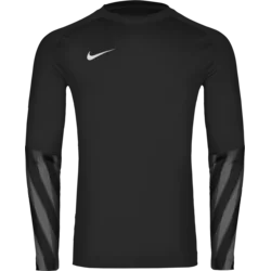 Nike Dres z dolgimi rokavi Dri-FIT Park V Long Sleeve Goalkeeper