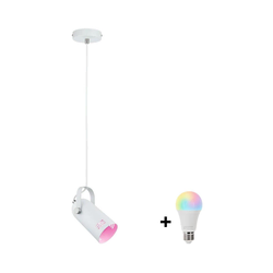 Paulmann 79767 - LED RGBW 1xE27/15W visilica na sajli LAVEA 230V bela