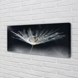 tulup.si Slika na platnu Drop regrat makro 125x50 cm