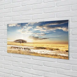tulup.si Steklena slika Zebra oblaki drevo 125x50 cm 2 obešalnika