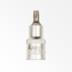 Blade gedora torx T45 ( BGEDT45 )