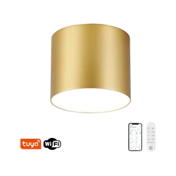Immax NEO 07318L - LED prigušiva stropna lampa RONDATE 32W/230V 16,5 cm Wi-Fi Tuya zlatna