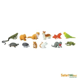 Pamina Store Pets (Hišni ljubljenčki)